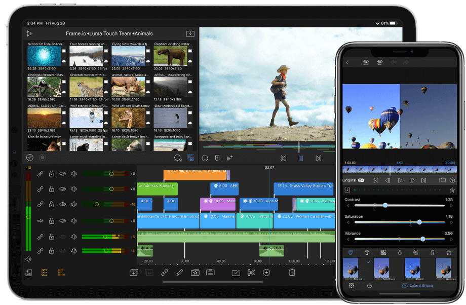 LumaFusion (Best overall video editor for iPad and iPhone)