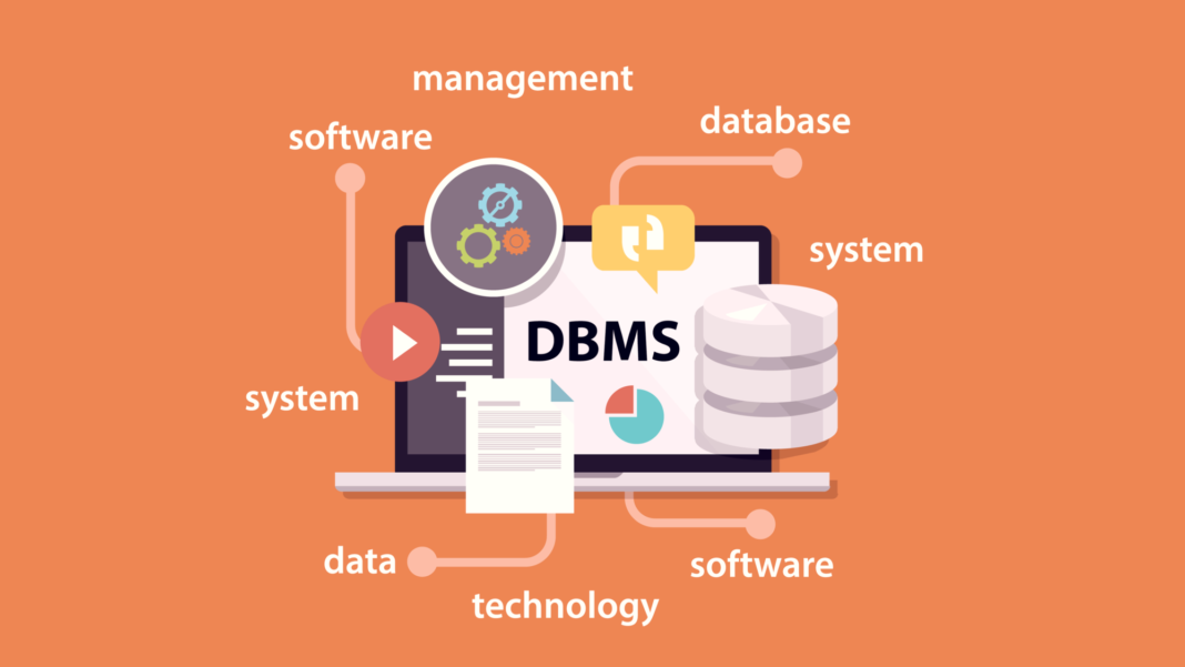 What is DBMS Software