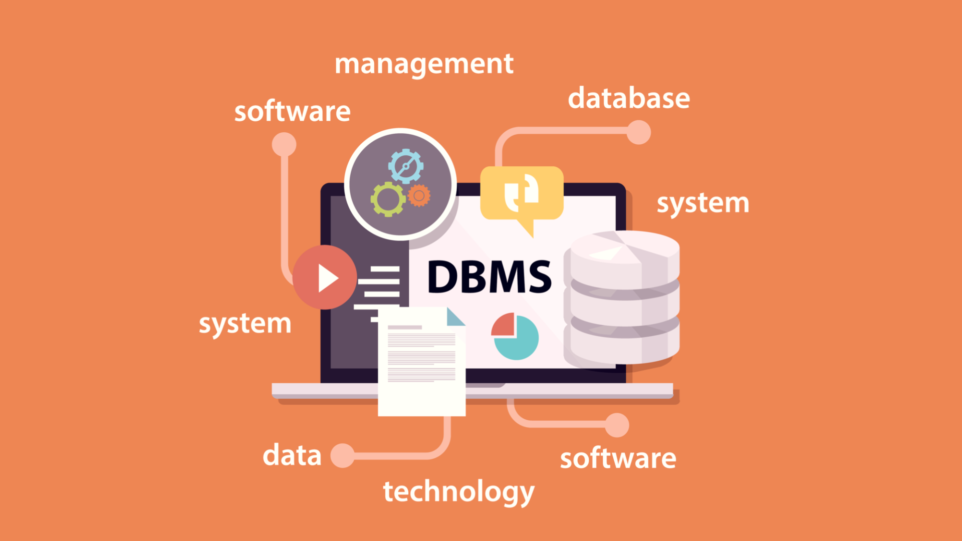 What is DBMS software? A Beginner's Guide