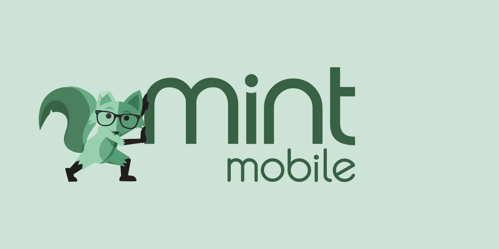 Understanding Mint Mobile International Roaming and its Value