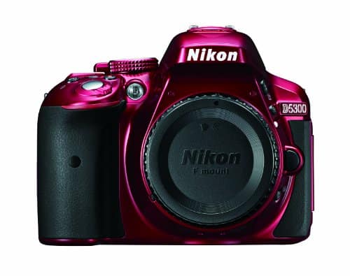 Nikon D5300 24.2MP CMOS